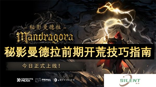 秘影曼德拉零失误开荒公式！暗影能量永动机+爆伤阈值天花板