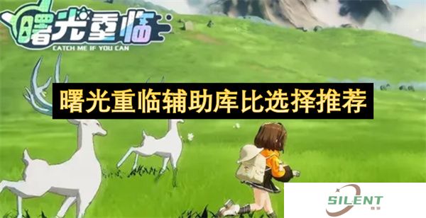 曙光重临辅助库比选择推荐