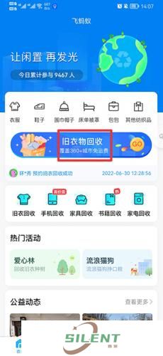 飞蚂蚁