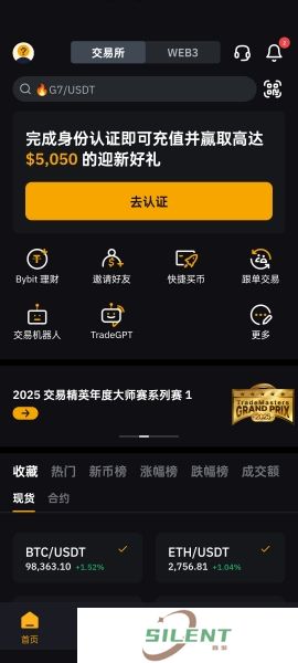 bybit交易所中文版给别人转币