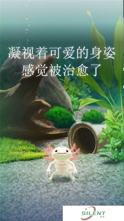 治愈的蝾螈育成游戏