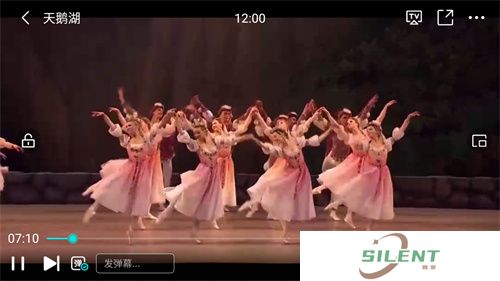 蕾丝视频安卓版