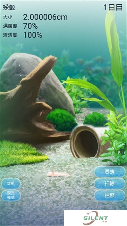 治愈的蝾螈育成游戏
