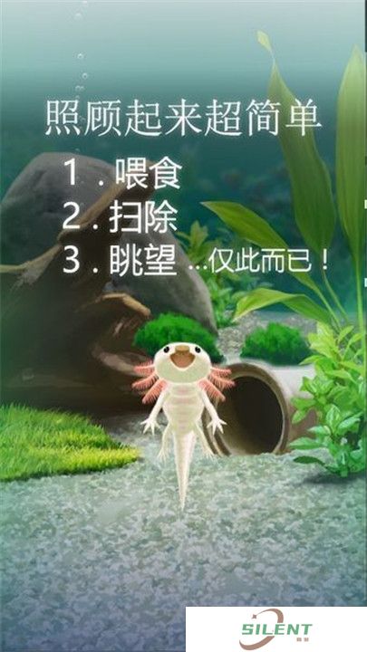 治愈的蝾螈育成游戏