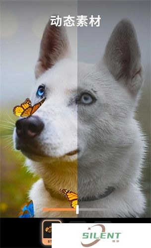 Motionleap安卓版