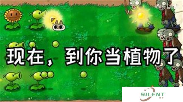 植物大战僵尸繁琐版