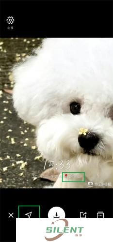 水印相机app