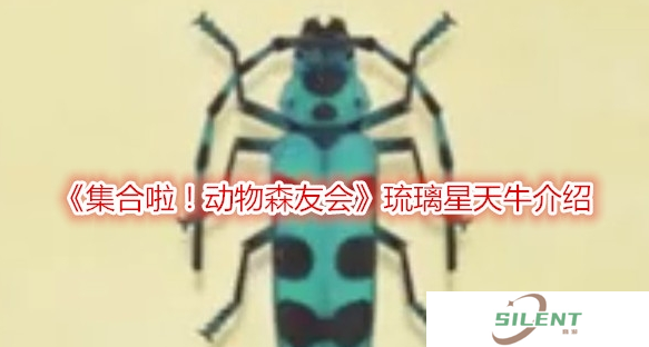 动物森友会琉璃星天牛什么时间活动