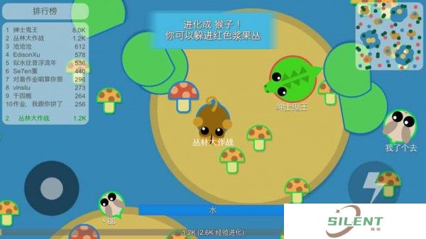 丛林大作战