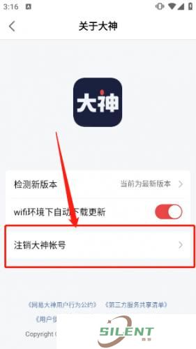网易大神
