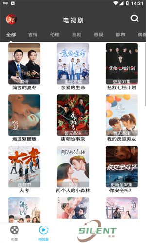 简易视频