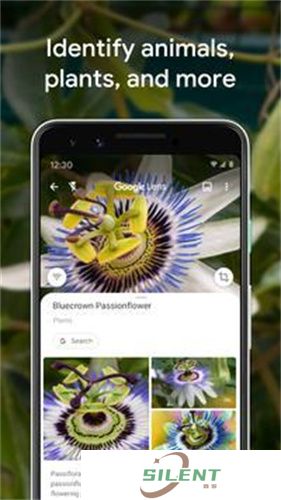 Google Lens