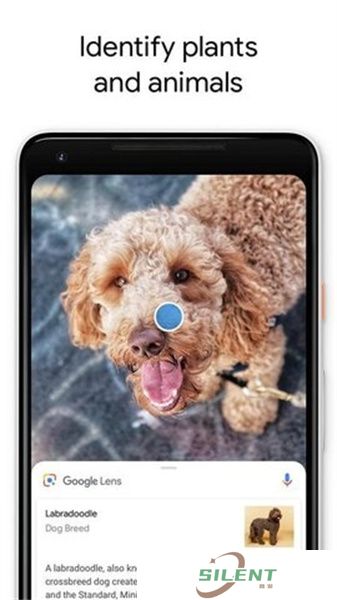 Google Lens
