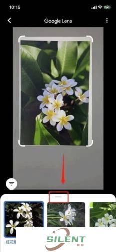 Google Lens