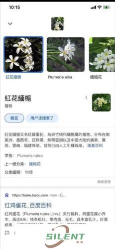 Google Lens
