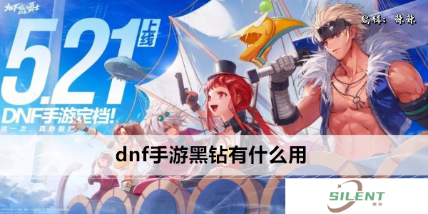dnf手游黑钻有什么用