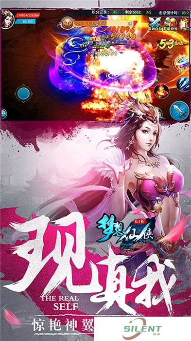 梦想仙侠手机版
