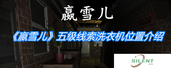 《孙美琪疑案：嬴雪儿》五级线索洗衣机位置介绍
