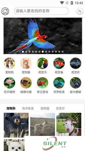 识万物