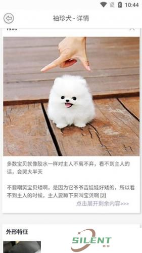识万物