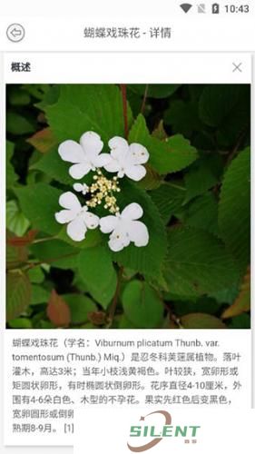 识万物