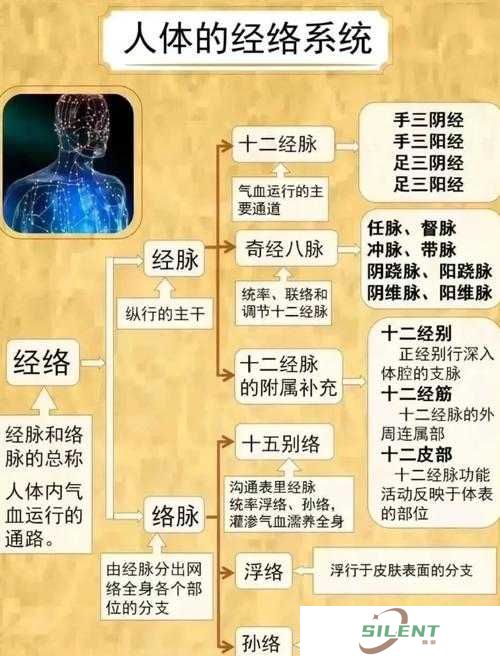 战国英雄经脉系统如何玩转？全面攻略带你揭秘悬念！