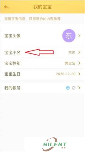 小伴龙