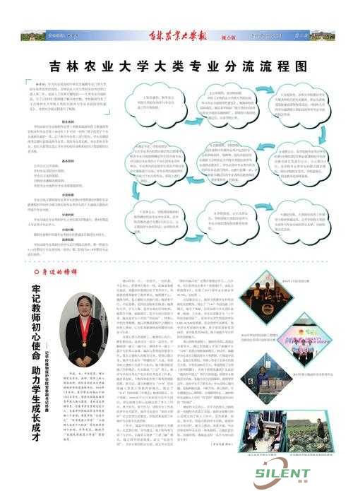 全民农场里，报纸阅读究竟藏着哪些秘密？报亭交易又暗含何种玄机？